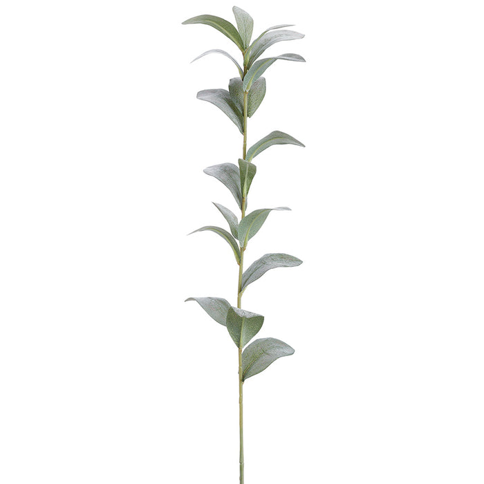 30.5" Ruscus Hypophyllum Leaf Artificial Stem -Green/Gray (Pack of 12) - PSR225-GR/GY