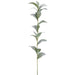 30.5" Ruscus Hypophyllum Leaf Artificial Stem -Green/Gray (Pack of 12) - PSR225-GR/GY