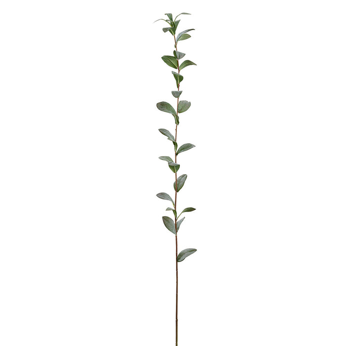 47" Ruscus Hypophyllum Leaf Artificial Stem -Green/Gray (Pack of 12) - PSR226-GR/GY