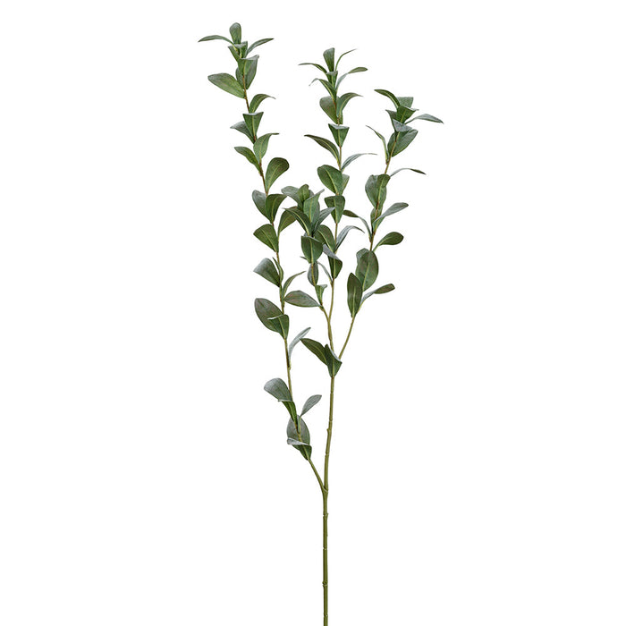 47" Ruscus Hypophyllum Leaf Artificial Stem -Green/Gray (Pack of 6) - PSR227-GR/GY