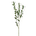 47" Ruscus Hypophyllum Leaf Artificial Stem -Green/Gray (Pack of 6) - PSR227-GR/GY