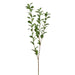 47" Ruscus Hypophyllum Leaf Artificial Stem -Green (Pack of 6) - PSR227-GR