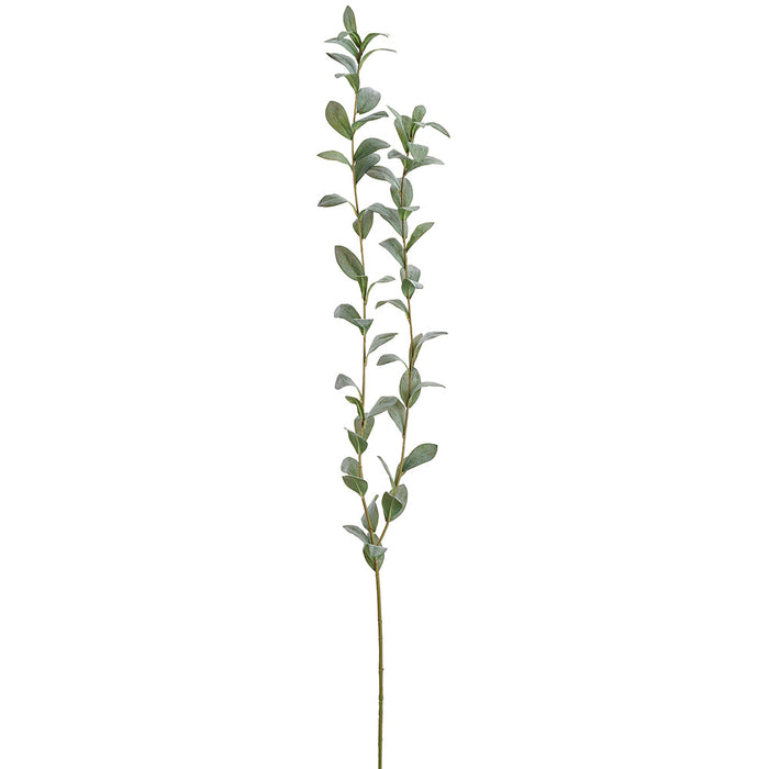61" Ruscus Hypophyllum Leaf Artificial Stem -Green/Gray (Pack of 6) - PSR228-GR/GY