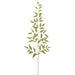 36" Silk Italian Ruscus Leaf Stem -Green/Gray (pack of 12) - PSR247-GR/GY