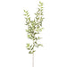 49" Silk Italian Ruscus Leaf Stem -Green/Gray (pack of 12) - PSR249-GR/GY