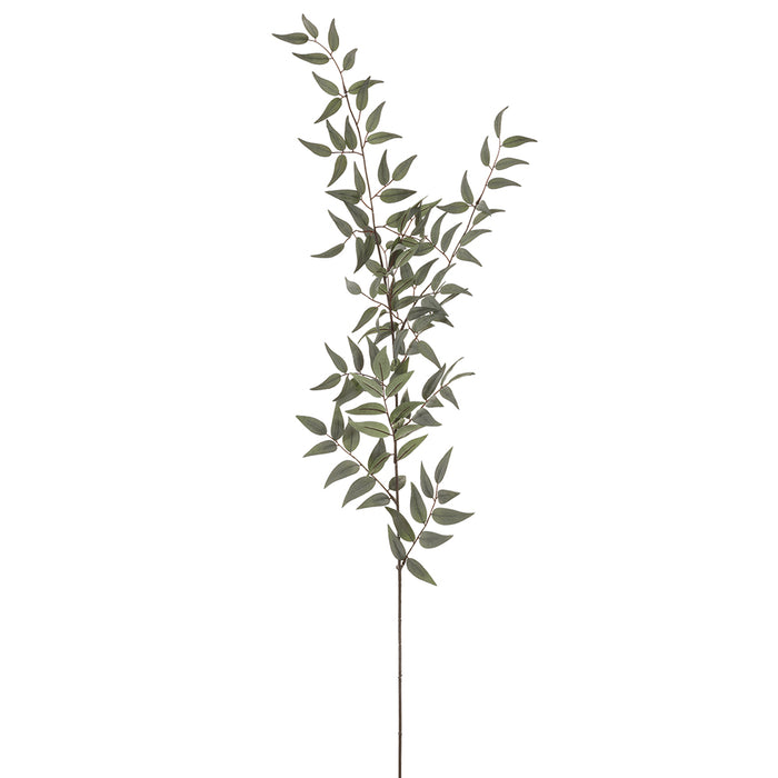 49" Silk Italian Ruscus Leaf Stem -Green (pack of 12) - PSR249-GR