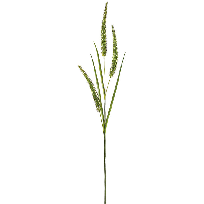 36" Blooming Rattail Grass Leaf Artificial Stem -Green (Pack of 12) - PSR287-GR
