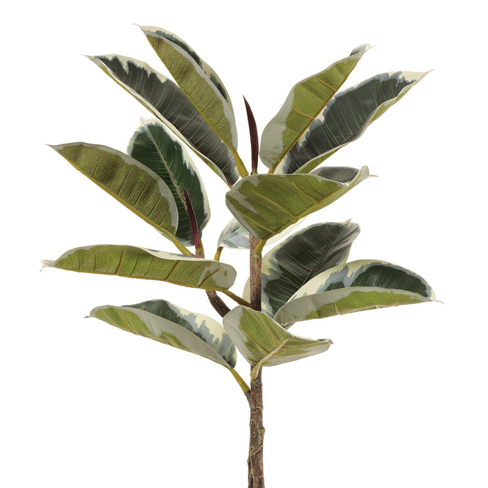 25" Artificial Rubber Plant Leaf Stem -Green/Variegated (pack of 6) - PSR442-GR/VG