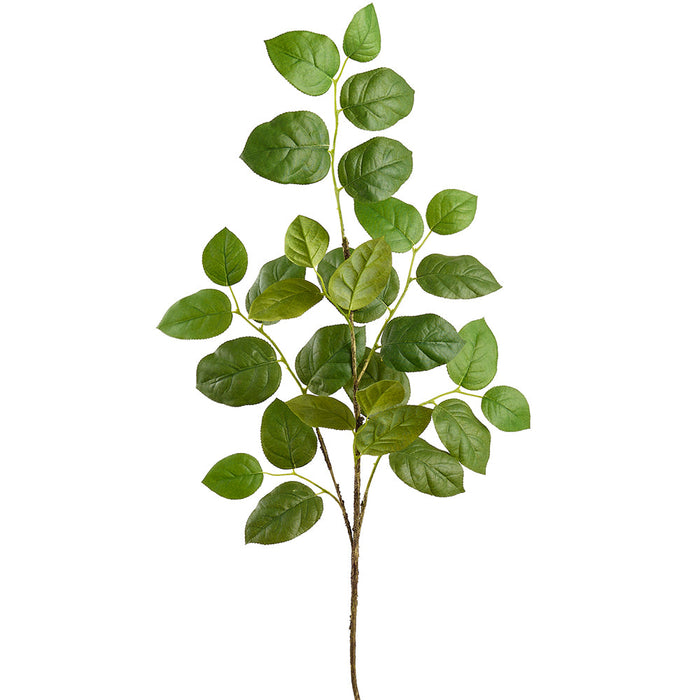 45.5" Salal Leaf Silk Stem -Green (Pack of 12) - PSS100-GR