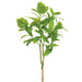26" Skimmia Artificial Flower Stem -Light Green (pack of 12) - PSS128-GR/LT
