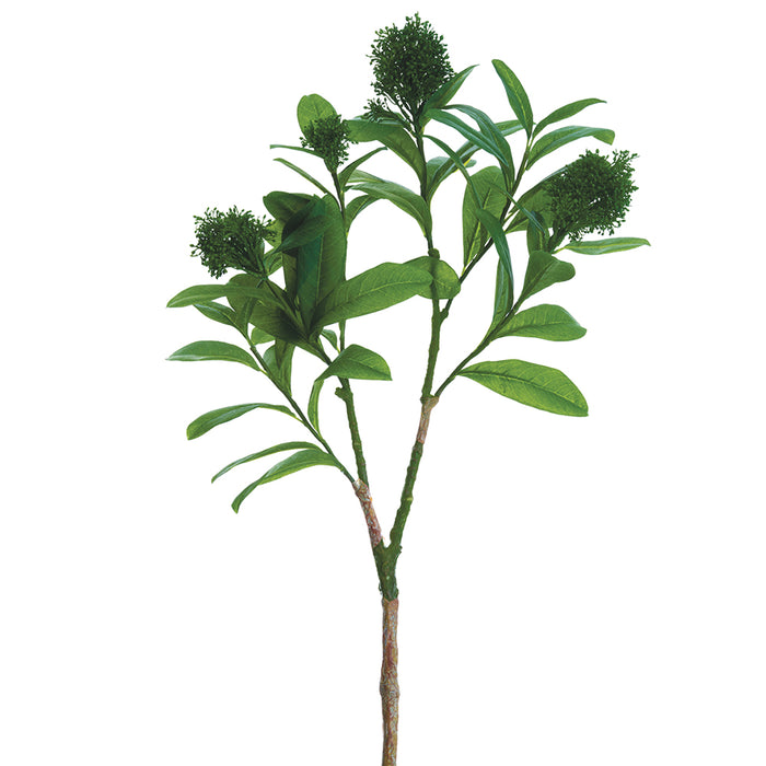 26" Skimmia Artificial Flower Stem -Green (pack of 12) - PSS128-GR