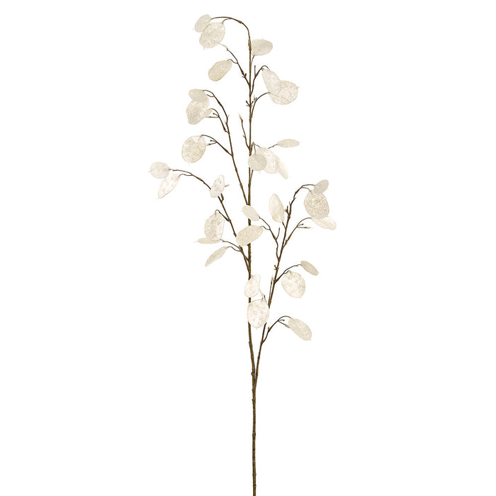 48" Silver Dollar Lunaria Leaf Silk Stem -Cream (Pack of 12) - PSS290-CR