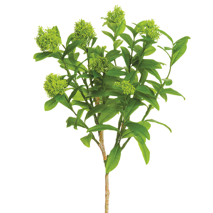 29" Skimmia Artificial Flower Stem -Light Green (pack of 4) - PSS325-GR/LT