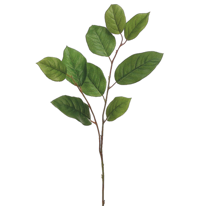 30" Silk Salal Leaf Stem -2 Tone Green (pack of 12) - PSS368-GR/TT