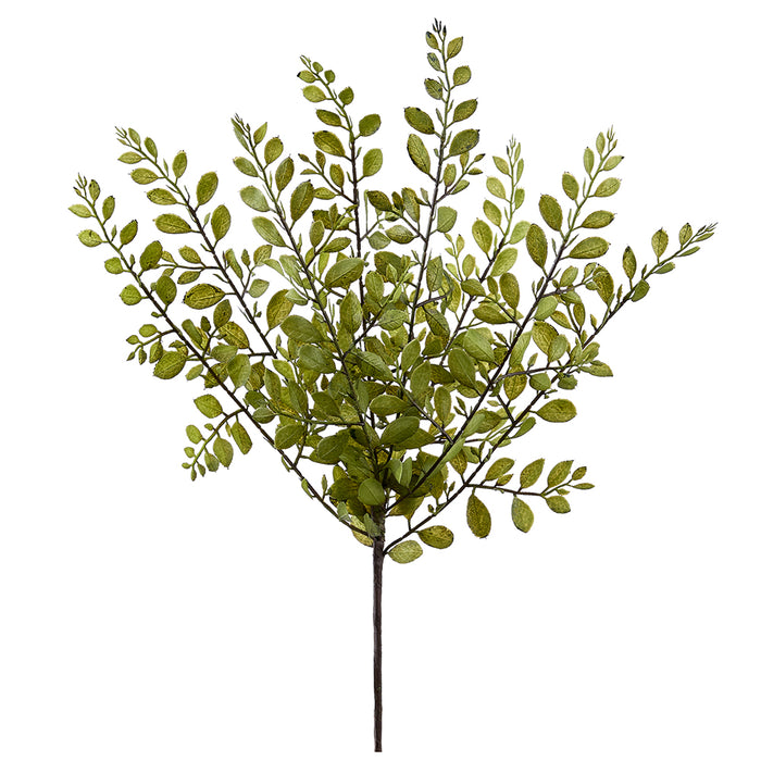 26" Silk Sophora Japonica Leaf Stem -Green (pack of 12) - PSS395-GR