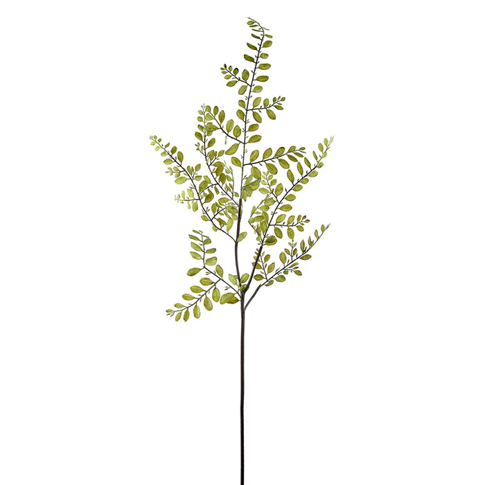 44.5" Silk Sophora Japonica Leaf Stem -Green (Pack of 12) - PSS396-GR
