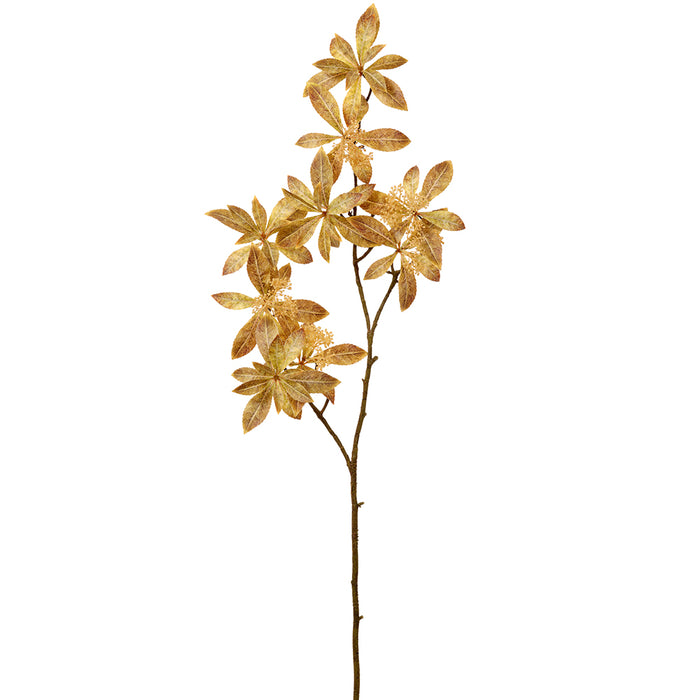 36" Silk Seeded Galium Odoratum Leaf Stem -Beige/Green (pack of 12) - PSS632-BE/GR
