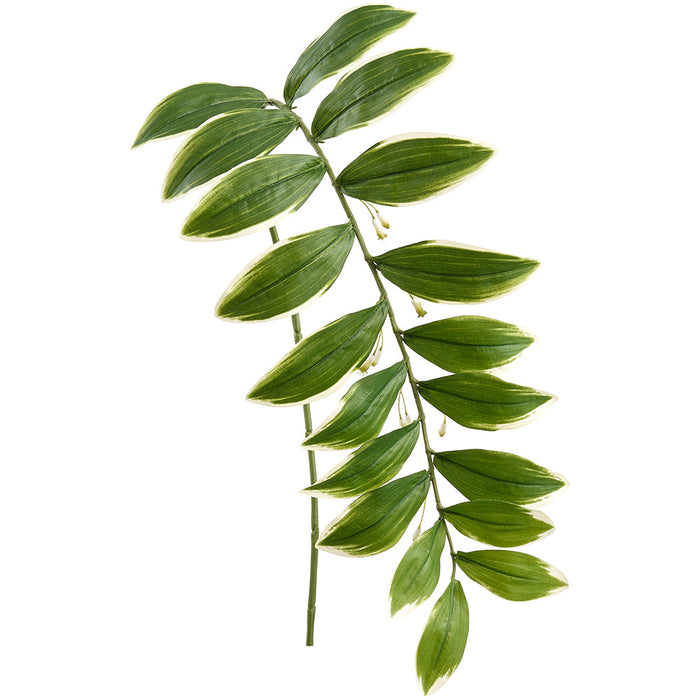 47" Solomon's Seal Leaf Silk Stem -Green/Cream (Pack of 12) - PSS673-GR/CR