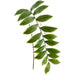 47" Solomon's Seal Leaf Silk Stem -Green/Cream (Pack of 12) - PSS673-GR/CR