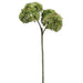 14.5" Artificial Sedum Stem -Green/Pink (Pack of 12) - PSS900-GR/PK