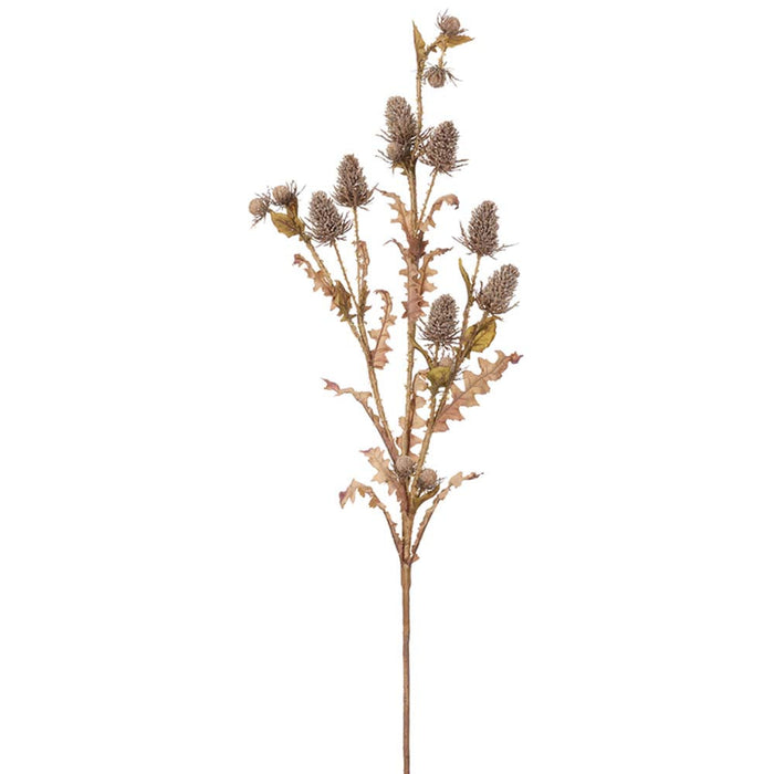 47" Artificial Thistle Stem -Beige/Brown (pack of 12) - PST471-BE/BR