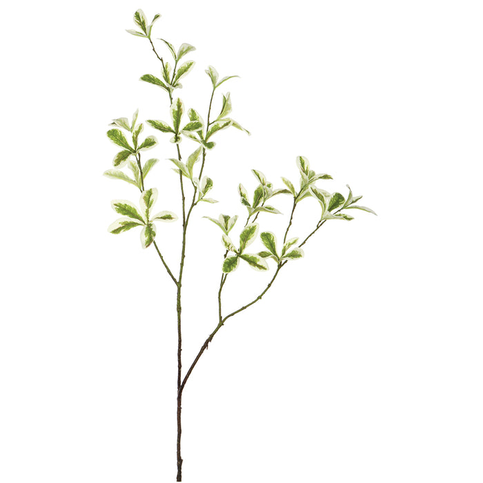 35.5" Silk Terminalia Mantaly Leaf Stem -Green/Variegated (Pack of 12) - PST769-GR/VG