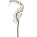 58.5" Artificial Curly Willow Branch Stem -2 Tone Brown (Pack of 12) - PSW742-BR/TT