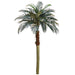 6' Phoenix Silk Palm Tree (pack of 2) - PTP606-