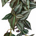 36" IFR UV-Resistant Outdoor Artificial Curly Wandering Jew Hanging Plant -304 Leaves -Green/Purple (pack of 4) - PUR180230