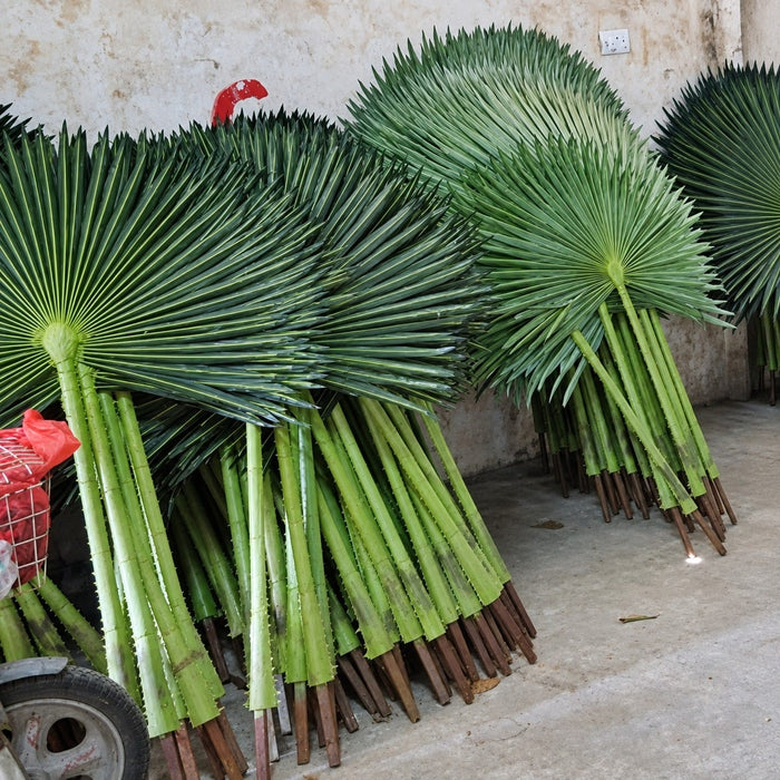 69" Outdoor UV-Resistant Artificial Washington Palm Branch Stem -Green (Pack of 10) - PUV180200