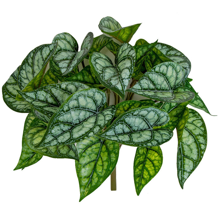 11" Outdoor UV-Resistant Artificial Peperomia Argyreia Plant -2 Tone Green (Pack of 12) - PUV-191540