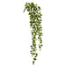 36" Hanging Silk Curly Leaf Vine Stem -Green (pack of 12) - PVL180-GR