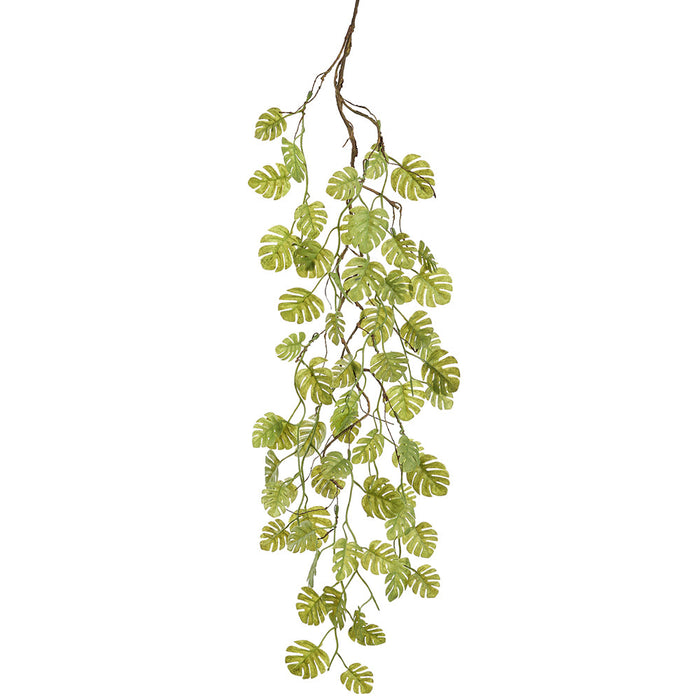 38" Hanging Mini Split Leaf Philodendron Monstera Leaf Vine Silk Stem -Green (pack of 12) - PVM100-GR