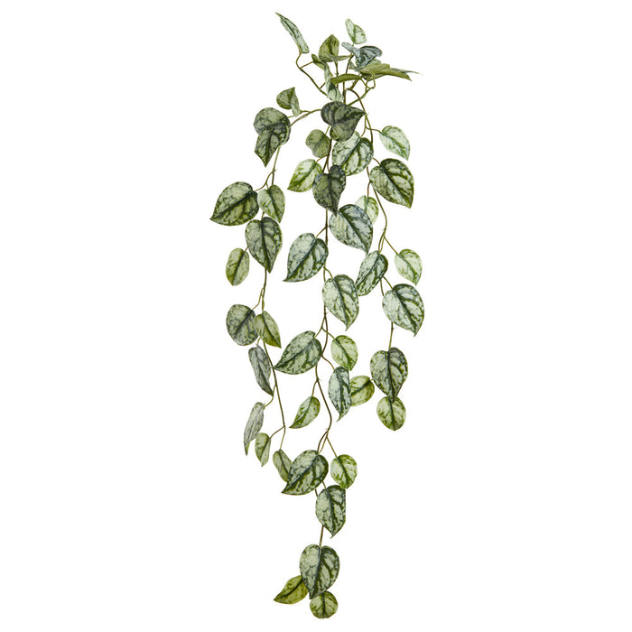 34" Hanging Pothos Leaf Vine Silk Stem -Green/Gray (Pack of 12) - PVP137-GR/GY