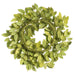 24" Silk White Ash Leaf Hanging Wreath -2 Tone Green (pack of 2) - PWA266-GR/TT