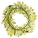 24" Silk Aralia Leaf Hanging Wreath -Green (pack of 2) - PWA404-GR
