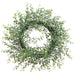 15" Mini Artificial Boxwood Leaf Hanging Wreath -Frosted Green (pack of 6) - PWB017-GR/FS