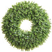 25" Artificial Eucalyptus Hanging Wreath -Green - PWE165-GR