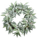22" Seeded Eucalyptus Silk Hanging Wreath -Frosted Green (pack of 4) - PWE305-GR/FS