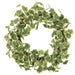 30" Silk Geranium Aralia Leaf Hanging Wreath -Variegated - PWG262-VG