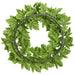 20" Grape Ivy Leaf Silk Hanging Wreath -Green (pack of 3) - PWI100-GR