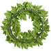 20" Grape Ivy Leaf Silk Wreath -Green (Pack of 3) - PWI100-GR