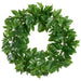 20" Grape Ivy Leaf Silk Hanging Wreath -Green (pack of 3) - PWI100-GR