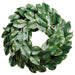 24" Deluxe Silk Magnolia Leaf Hanging Wreath -Green (pack of 2) - PWM022-GR