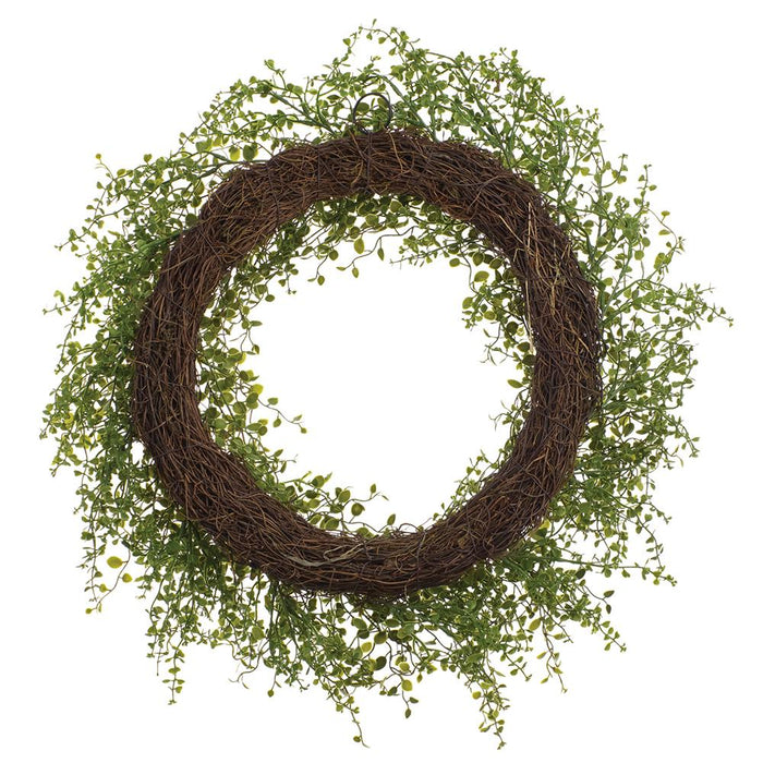 24" PE Soft-Touch Muehlenbeckia Wire Artificial Wreath -Green - PWM439-GR