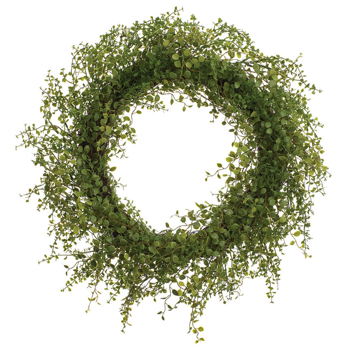 24" PE Soft-Touch Muehlenbeckia Wire Artificial Wreath -Green - PWM439-GR