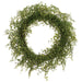 24" PE Soft-Touch Muehlenbeckia Wire Artificial Wreath -Green - PWM439-GR