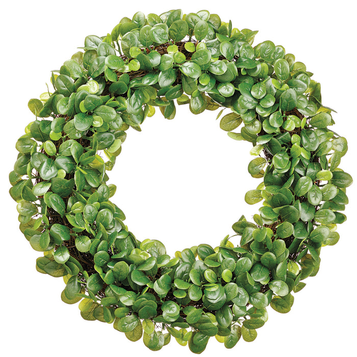 23" Artificial Pittosporum Hanging Wreath -Green - PWP025-GR