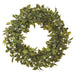 22" Artificial Pomelo Leaf Hanging Wreath -Green (pack of 2) - PWP275-GR