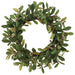 28" Photinia Leaf With Blossom Silk Wreath -Green (Pack of 2) - PWP766-GR